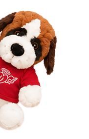 St. Bernard companion